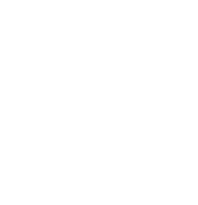 X_Logo_Invexus_White